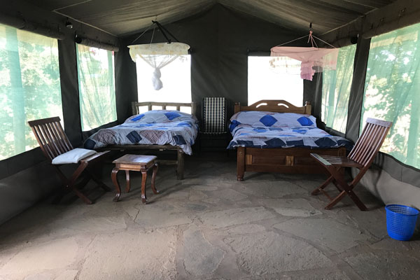 Twin Room Manjaro Tented Camp